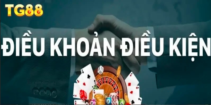 Khái quát về các điều khoản của nhà cái
